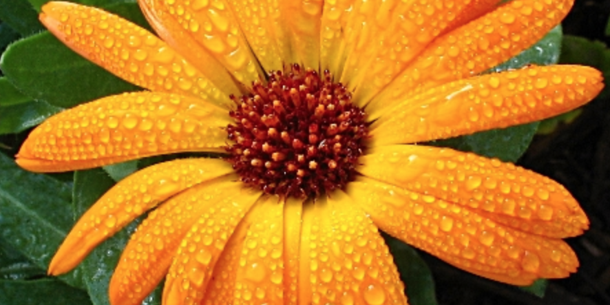 Captura de pantalla 2014-10-20 a la(s) 19.00.03