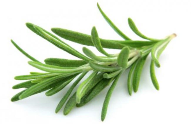 Captura de pantalla 2017-08-14 a las 15.34.43