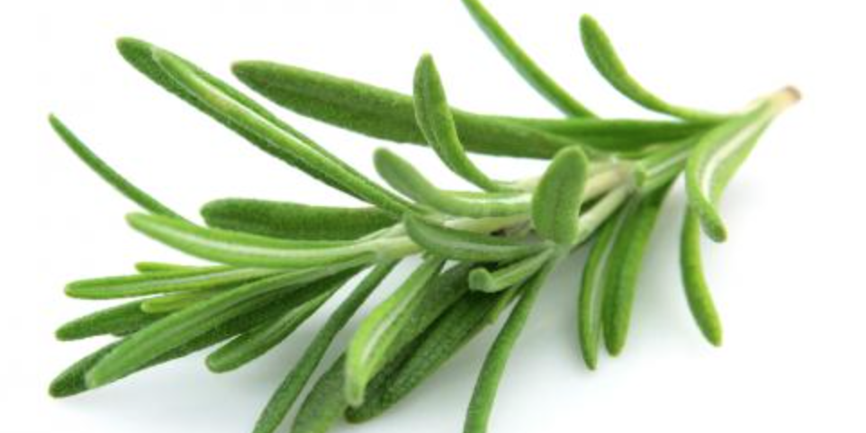 Captura de pantalla 2017-08-14 a las 15.34.43