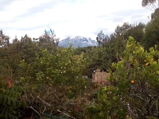 Cotacachi desde la ventana